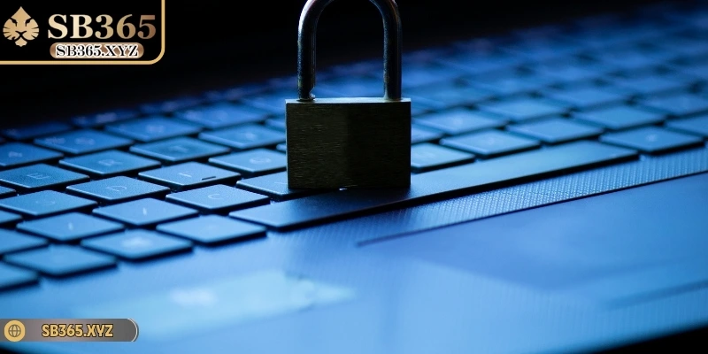 Những điểm cốt lõi trong chính sách sử dụng