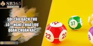 Soi Cầu Bạch Thủ Lô – Nghệ Thuật Dự Đoán Chuẩn Xác